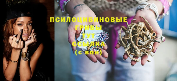 прущая мука Елабуга